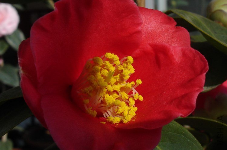 DSC0904400.jpg
