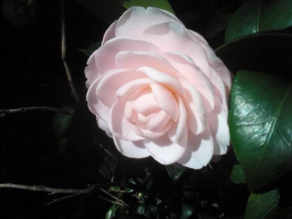 ������С C360_2011-12-04 09-52-42.jpg