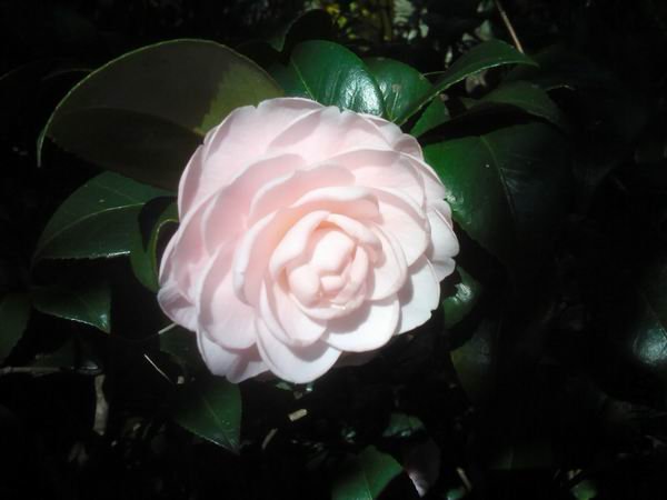 ������С C360_2011-12-04 09-53-29.jpg