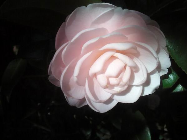 ������С C360_2011-12-04 10-04-47.jpg