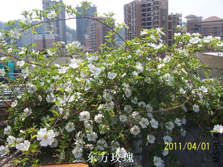 109_3329.jpg