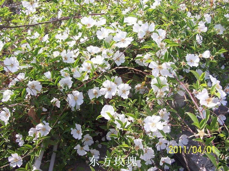 109_3334.jpg