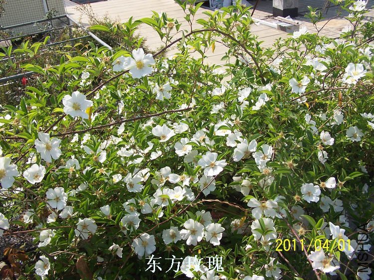 109_3337.jpg