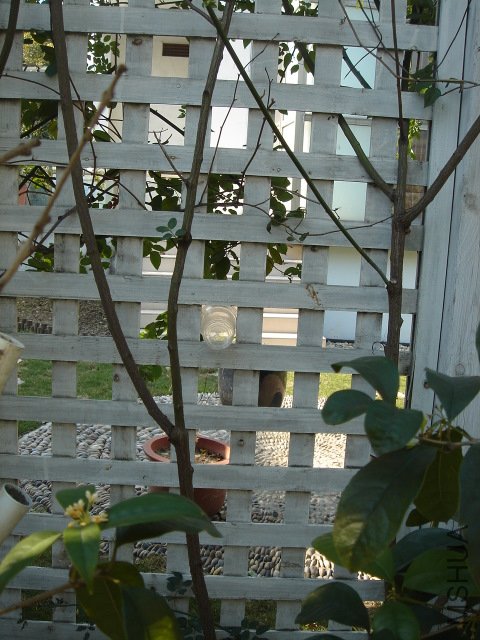 DSC03989.JPG