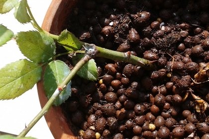 2011-12-17 11.51.28.jpg