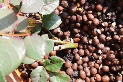 2011-12-17 11.51.50.jpg