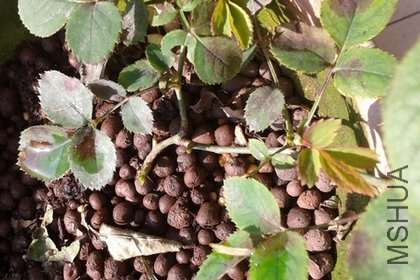 2011-12-17 11.52.52.jpg