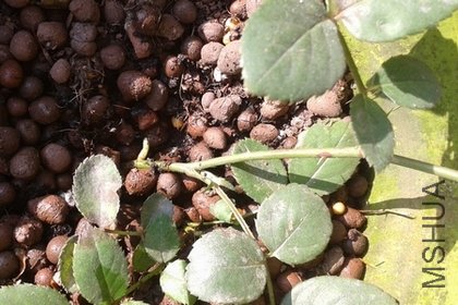 2011-12-17 11.53.19.jpg