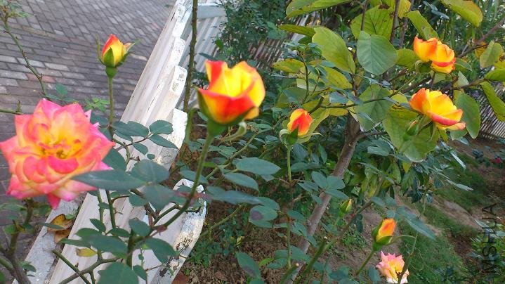 2011.12.17 157.JPG