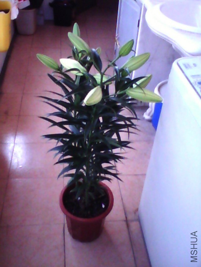 image20111218_134716.jpg