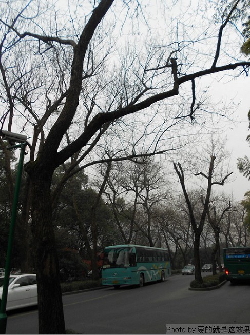 n1.jpg