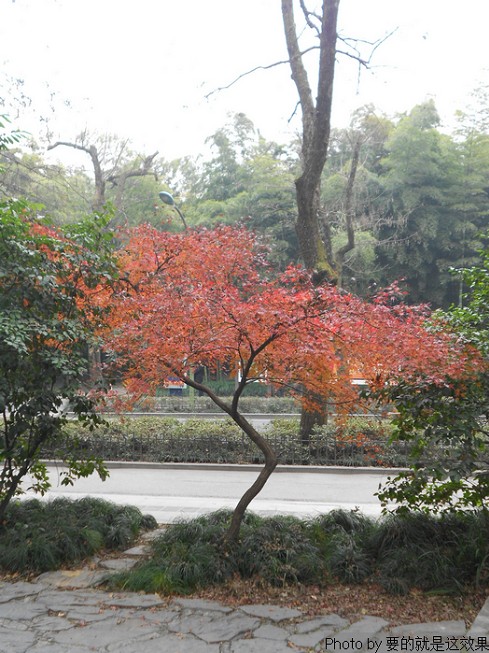 n3.jpg