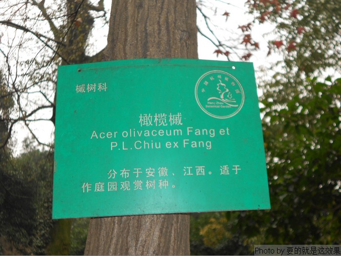 n7.jpg