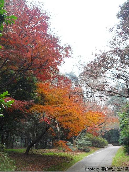 n9.jpg