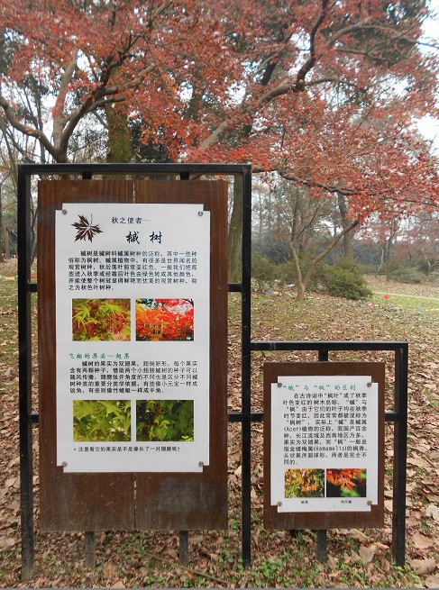n10.jpg