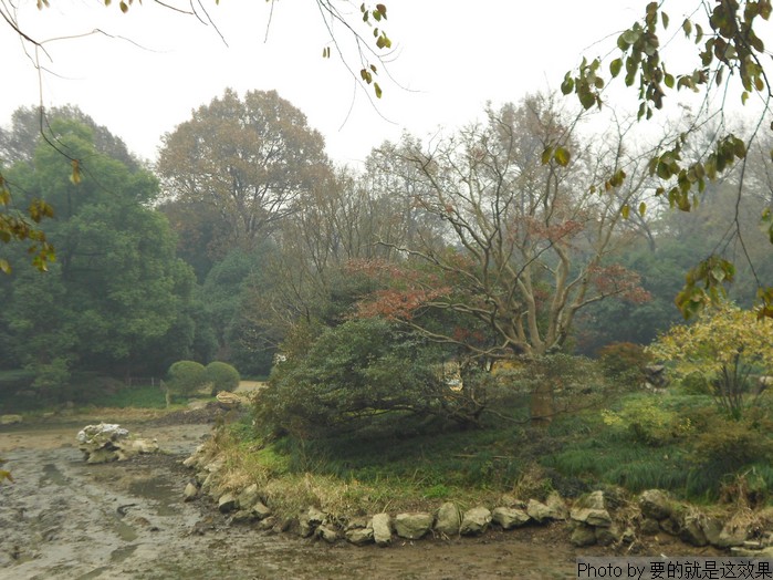 n13.jpg