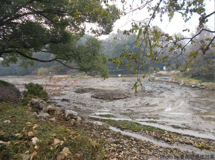 n14.jpg