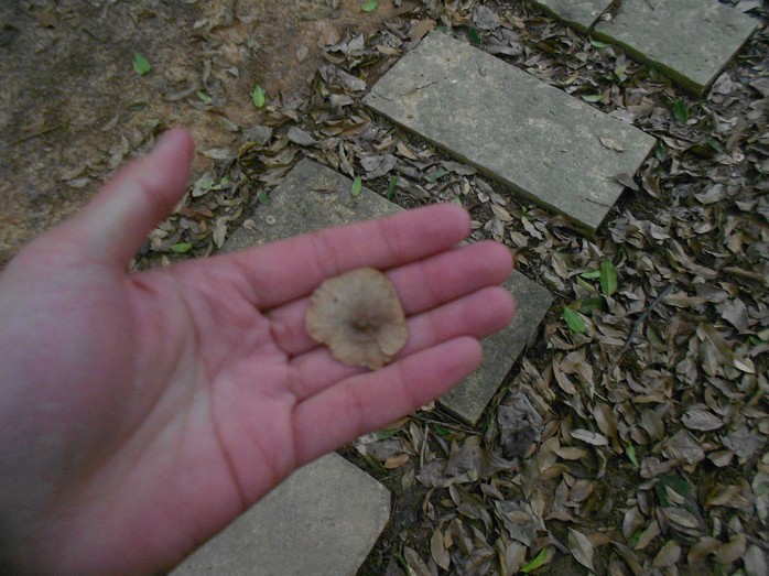n15.jpg