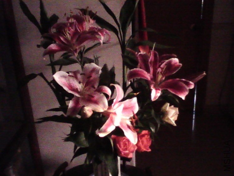 image20111219_080251.jpg