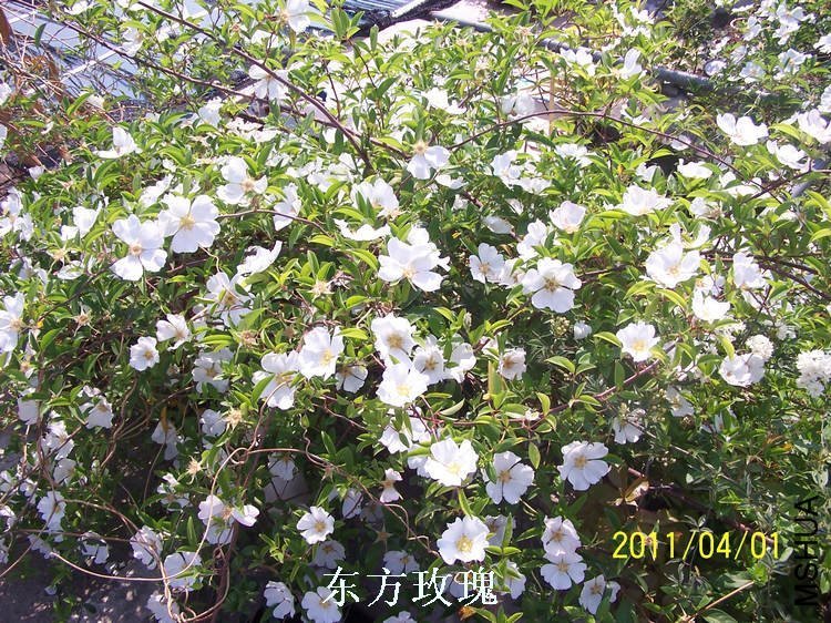 109_3331.jpg
