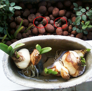 ��Ƭ401 ����.jpg