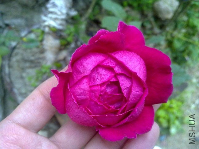 20111222078.jpg