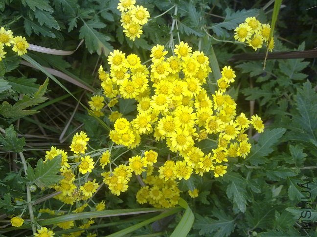 20111222101.jpg