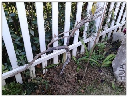 2011-12-19 08.30.19.jpg