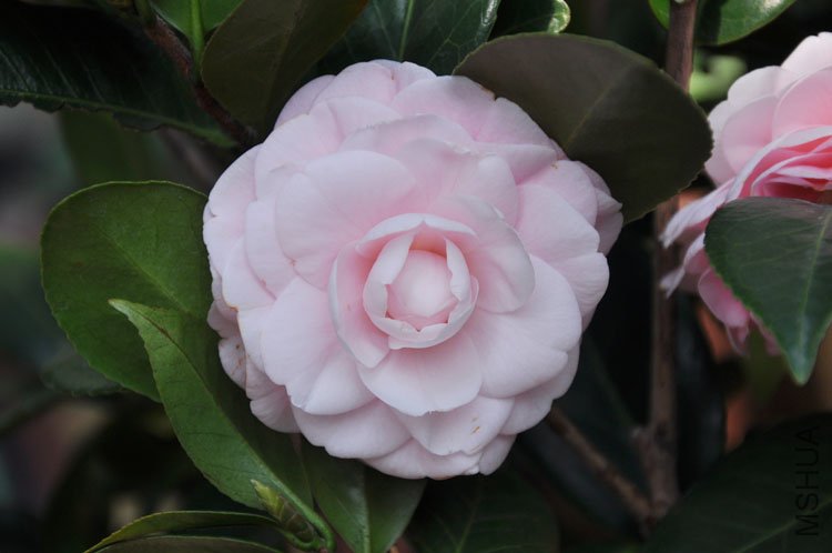 DSC_0635.JPG