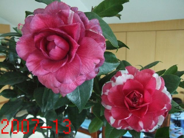DSCF2568.JPG