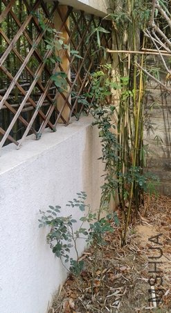 2011-12-24 13.13.19.jpg