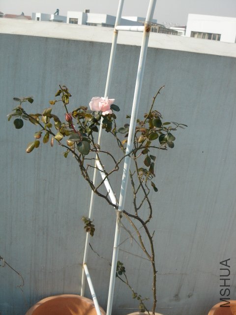 DSC04067.JPG