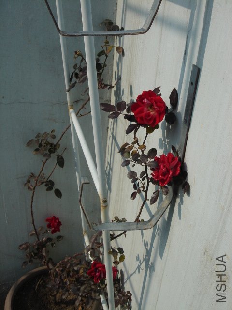 DSC04069.JPG