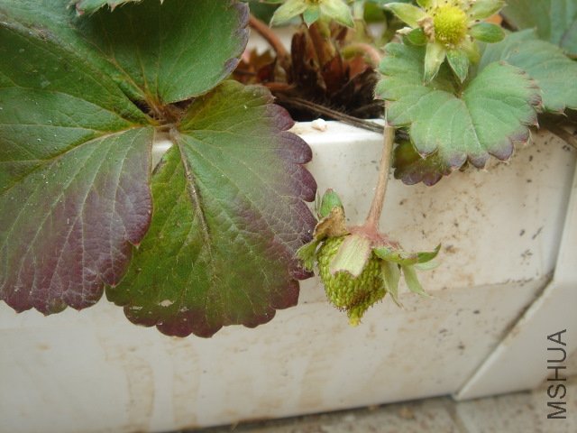 DSC04061.JPG