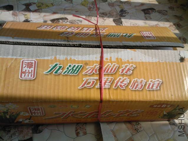 ͼƬ1.jpg