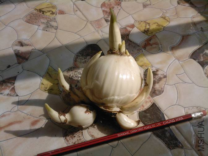 ͼƬ5.jpg