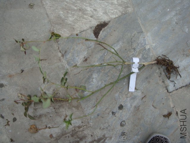 DSC02973.JPG