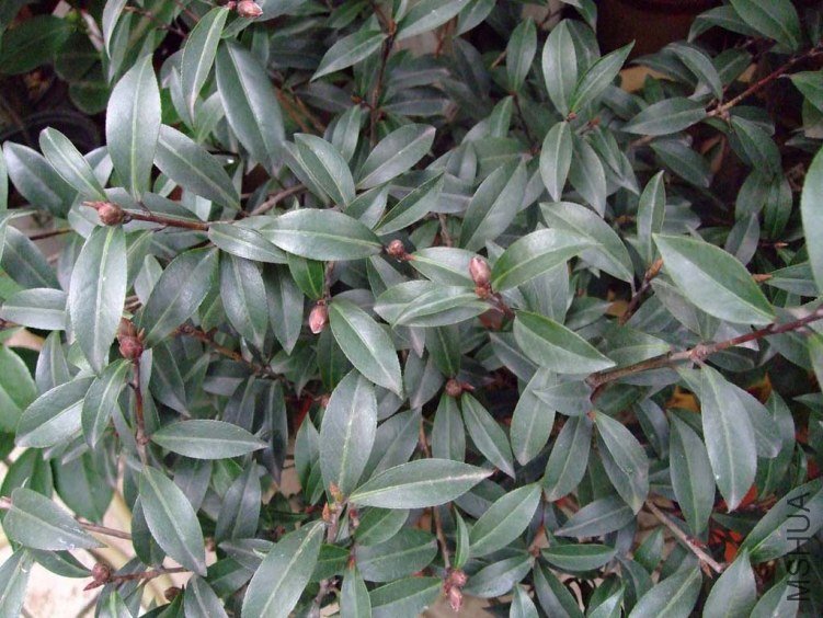 ��Ƭ2011-12-27f 00111.jpg