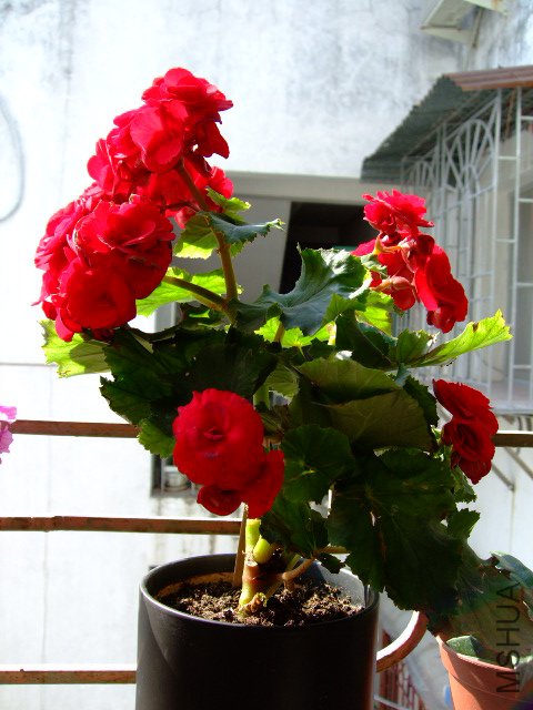 DSCF0475.JPG