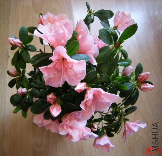 DSCN3492.jpg