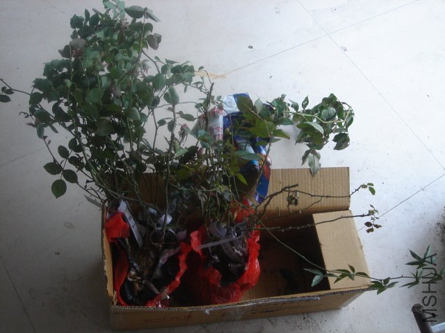 DSC04102.JPG