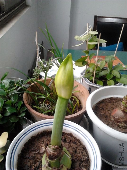 2011-12-21 15.56.31.jpg