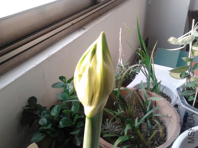 2011-12-24 09.03.12.jpg