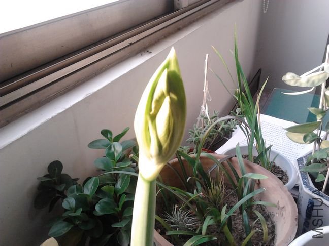 2011-12-24 09.05.27.jpg