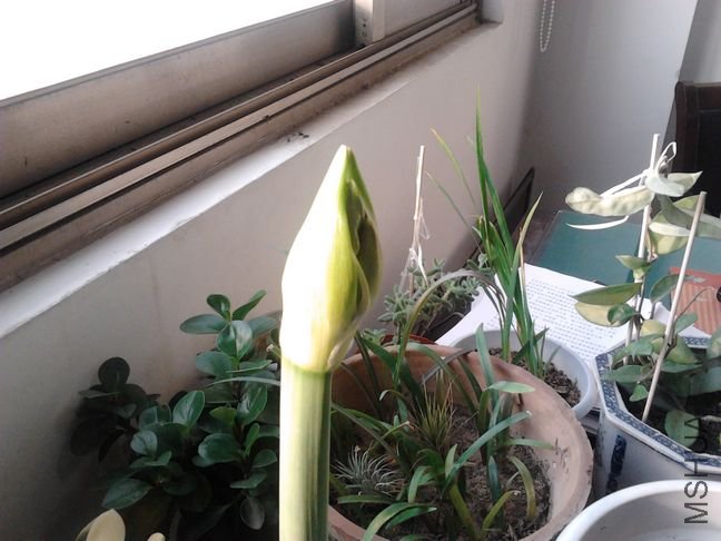 2011-12-24 09.05.47.jpg