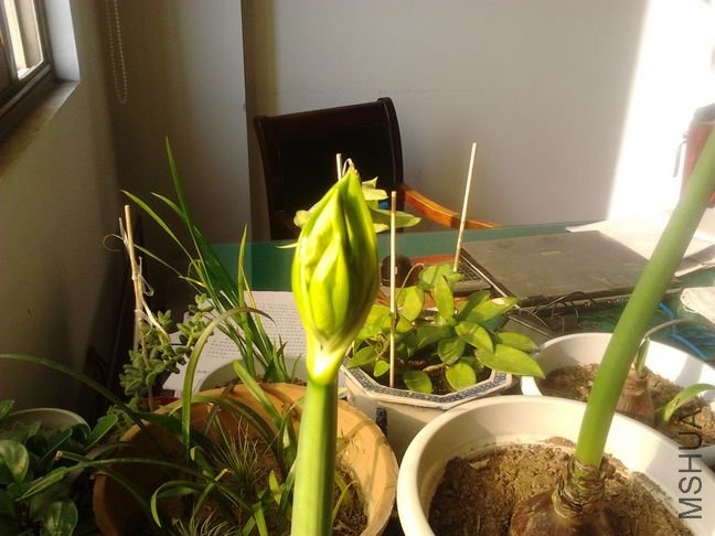 2011-12-25 10.42.10.jpg