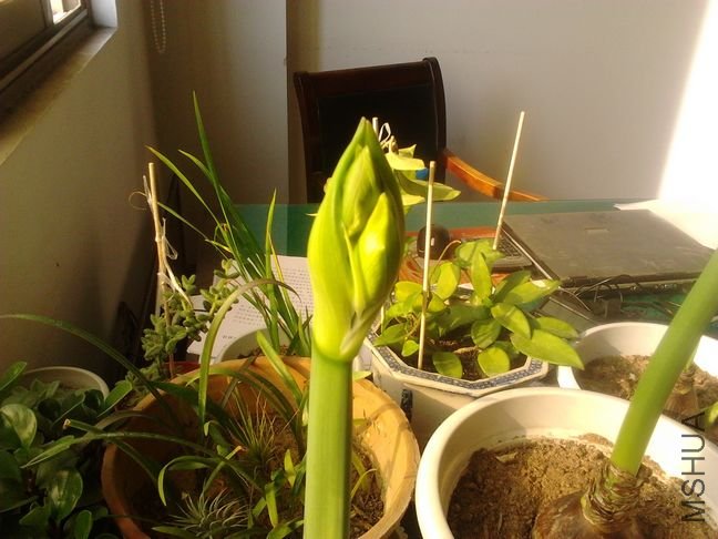 2011-12-25 10.42.19.jpg