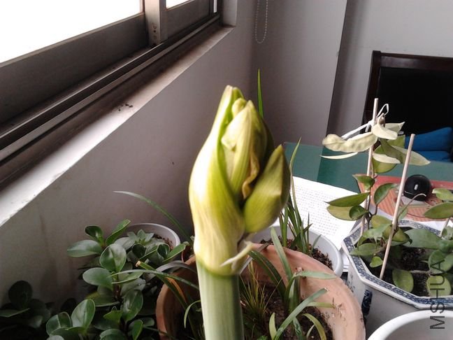 2011-12-26 10.22.52.jpg
