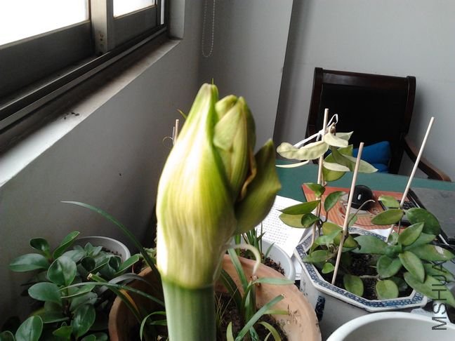 2011-12-26 10.23.06.jpg