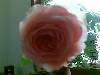 20111229(001).jpg